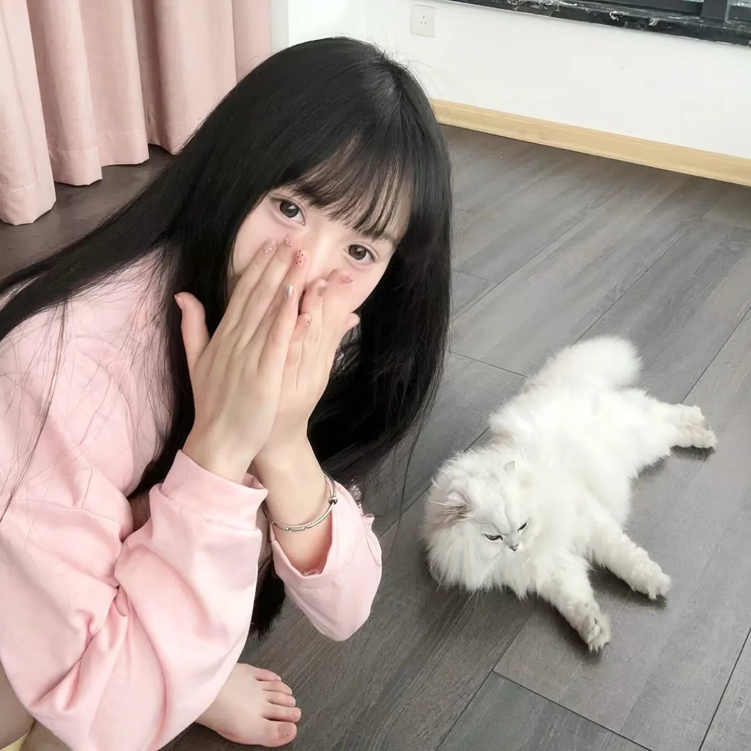 安海报